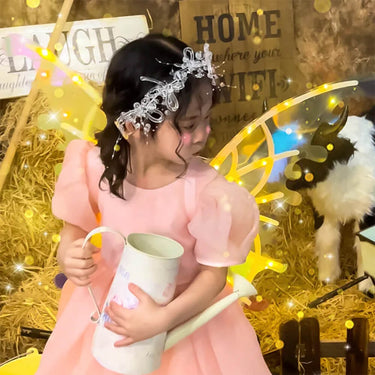 ELECTRIC FAIRY DREAM PRINCESS WINGS